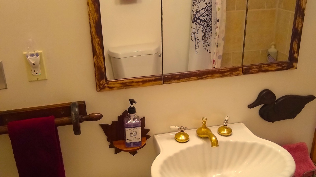 Photo of Bathroom in Hot Springs