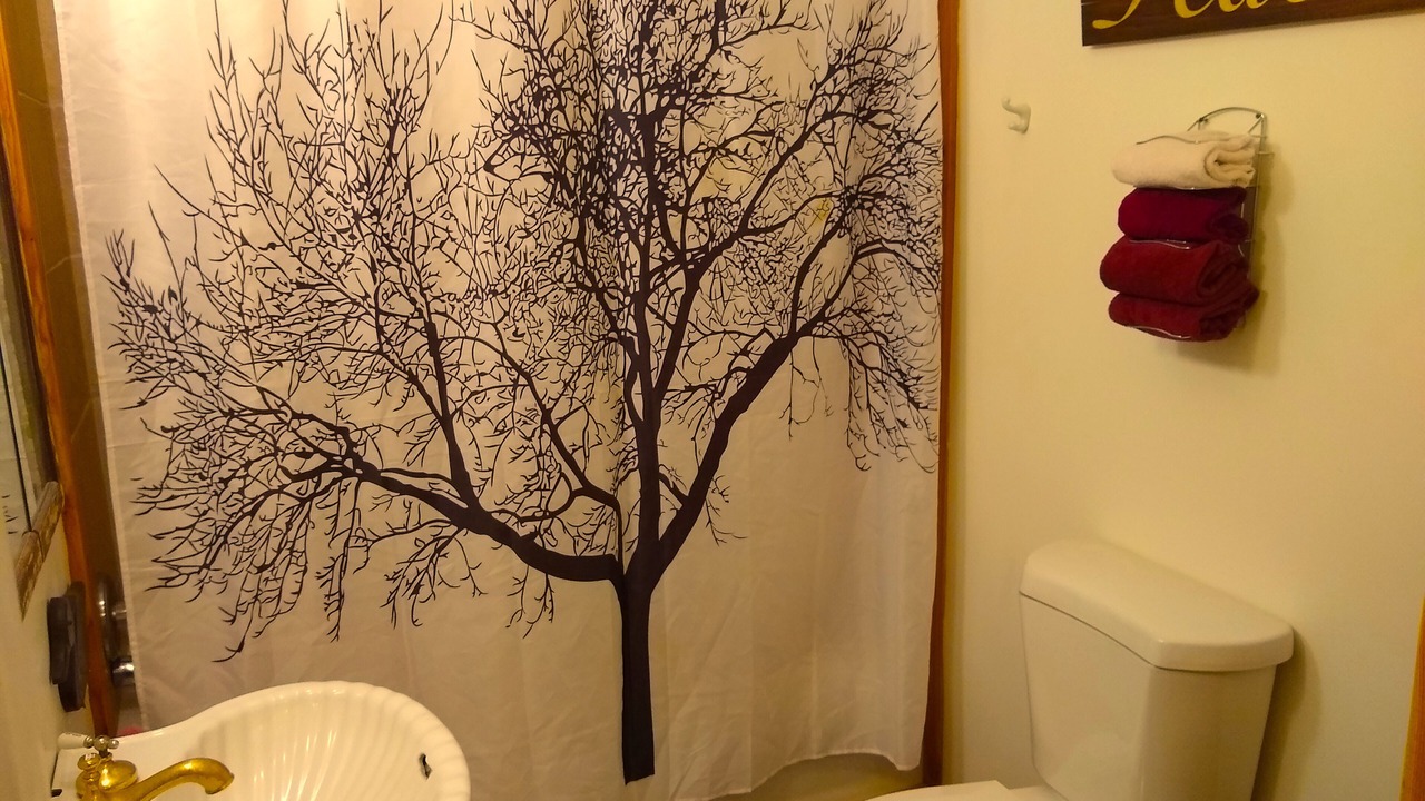 Photo of Bathroom in Hot Springs