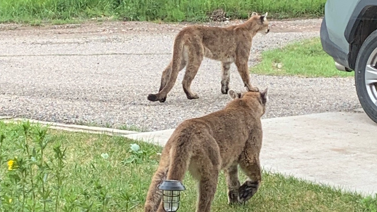 Photo of Others in Bozeman