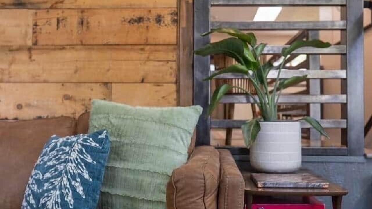 Photo of Livingroom in North Park