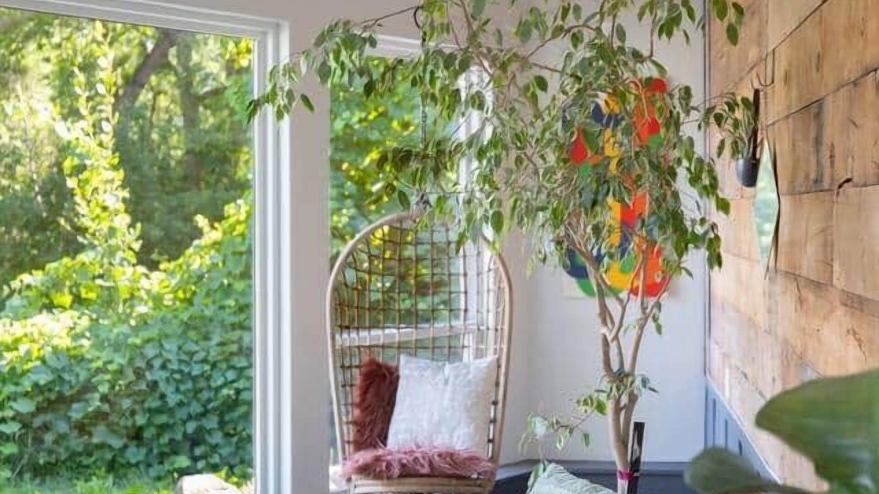 Photo of Livingroom in North Park