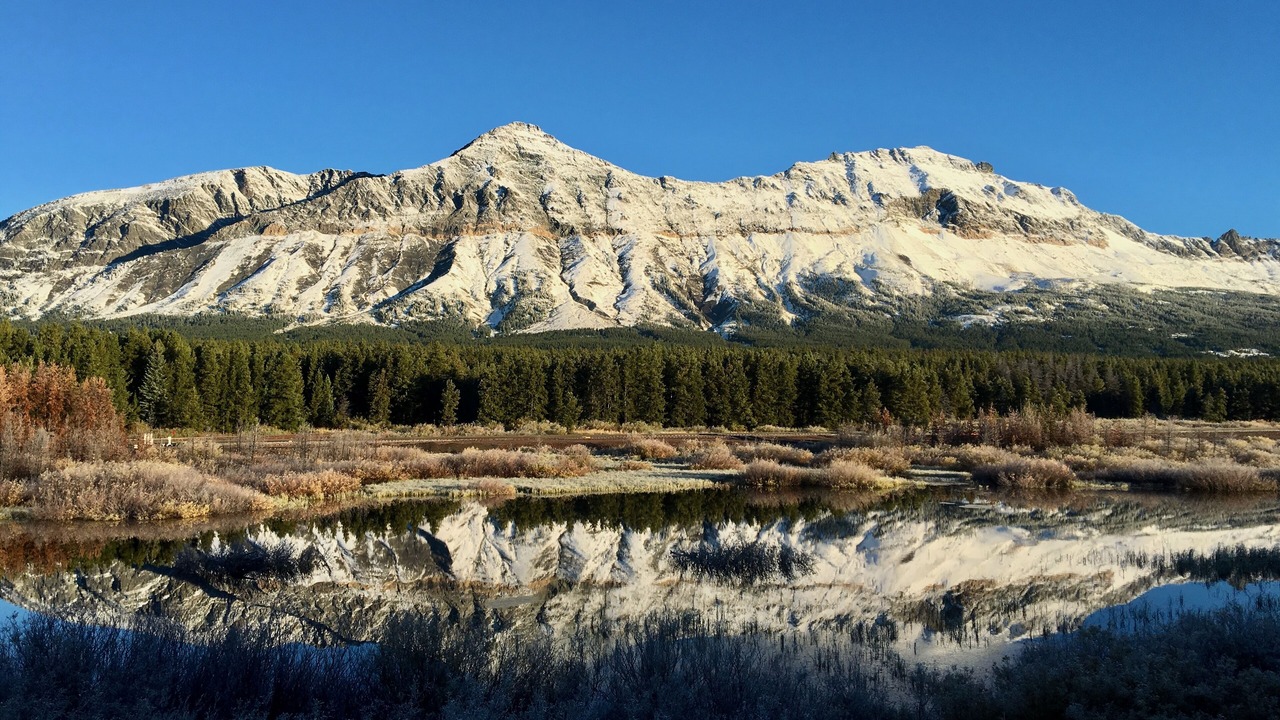Photo of Others in East Glacier Park