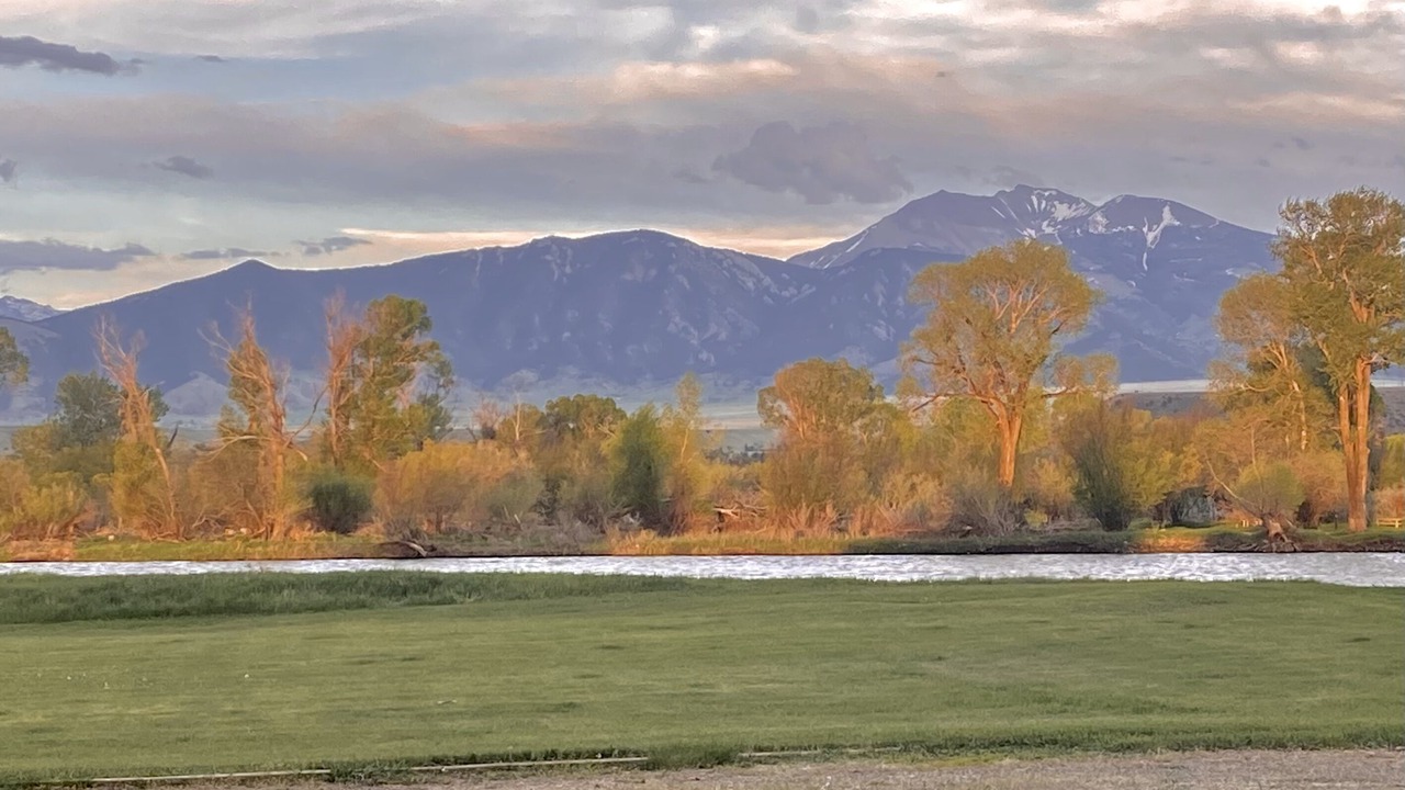 Photo of Others in Ennis