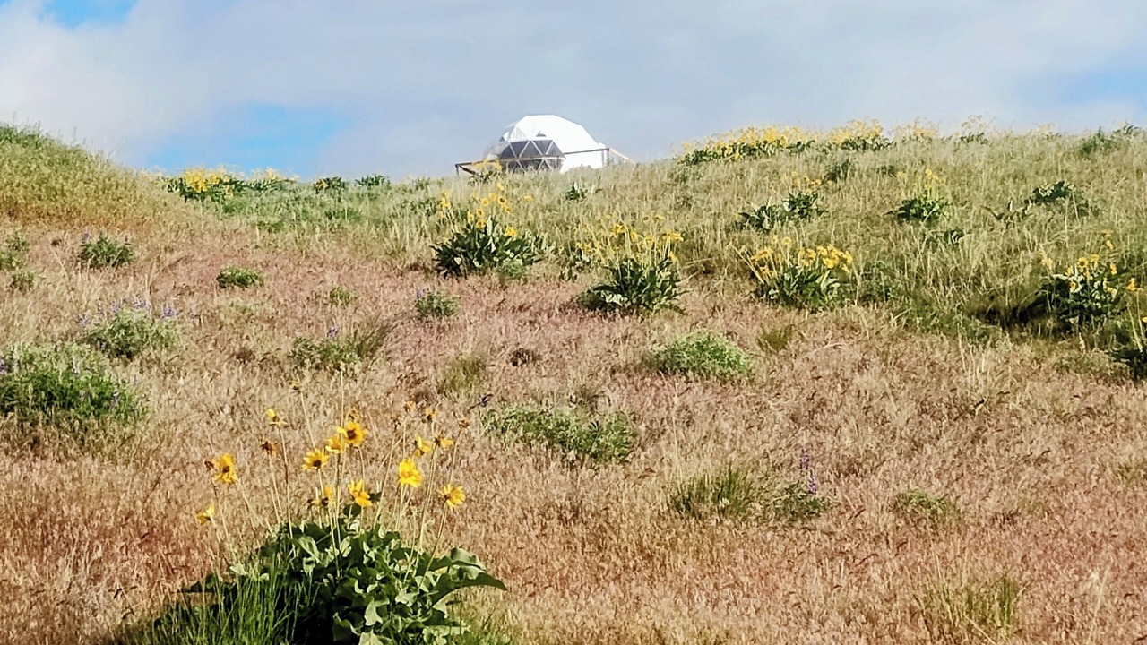 Photo of Outdoor in Plains