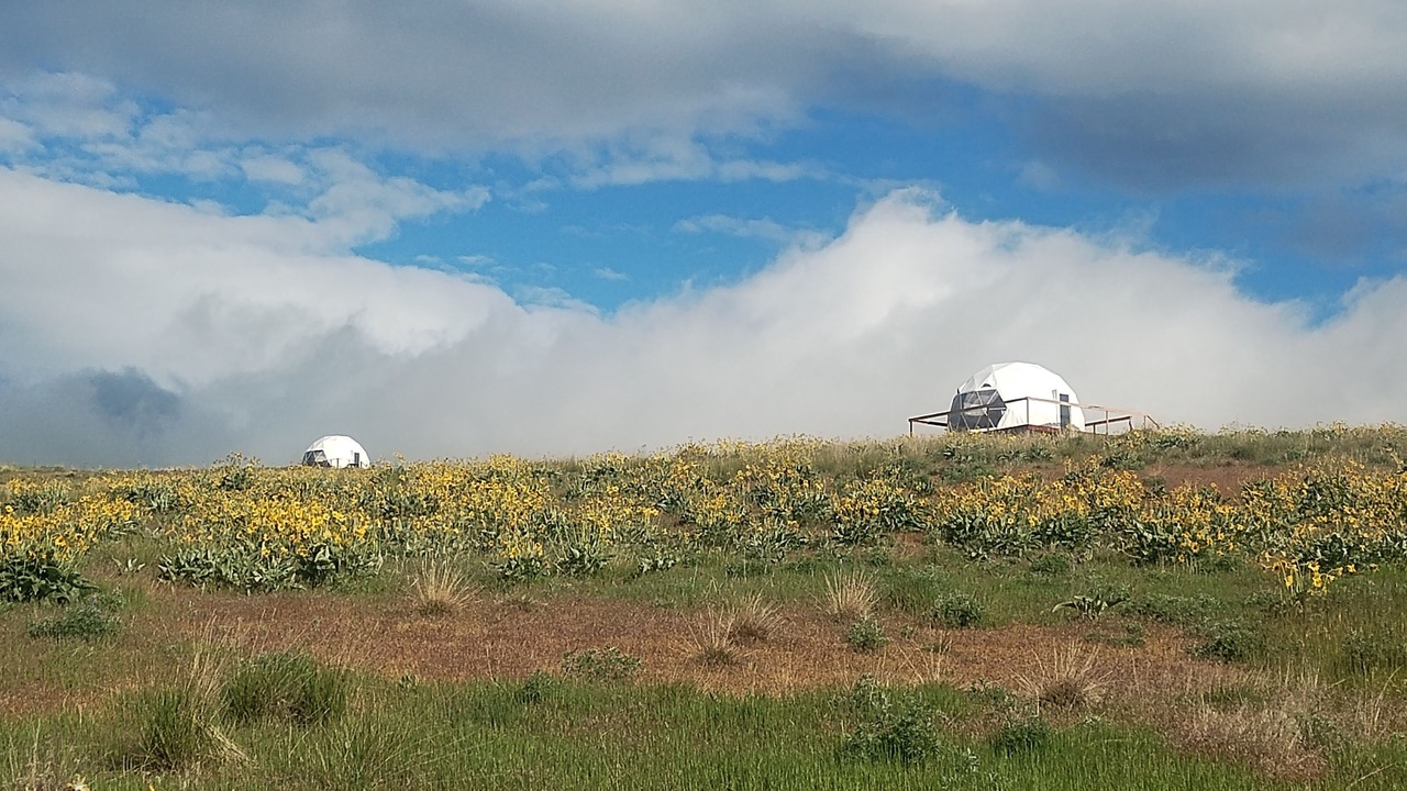 Photo of Others in Plains