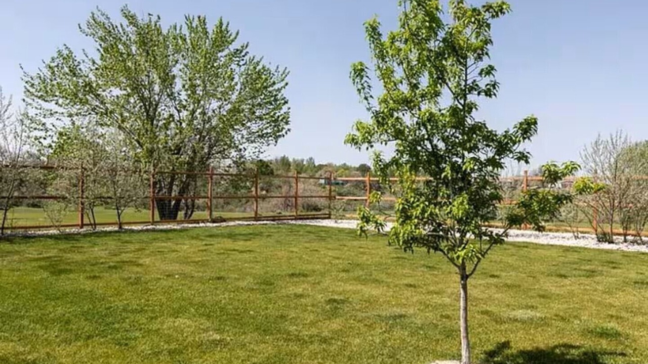 Photo of Outdoor in Billings