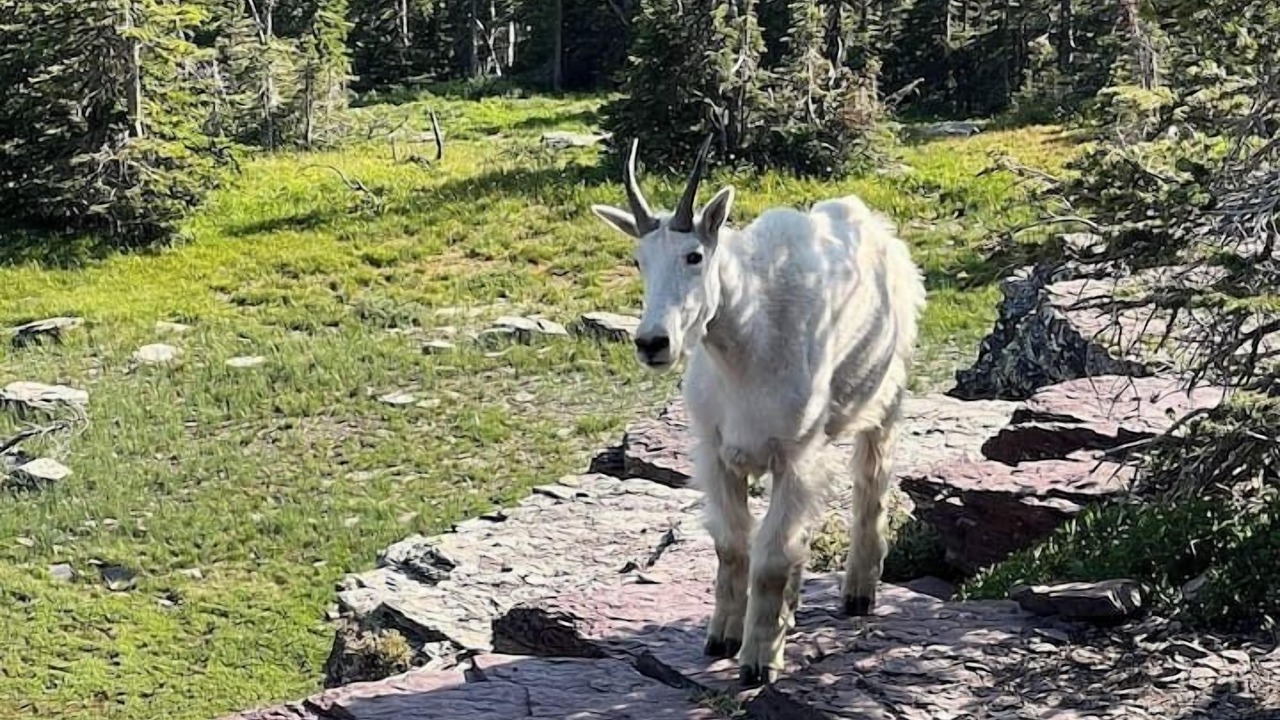 Photo of Others in Kalispell