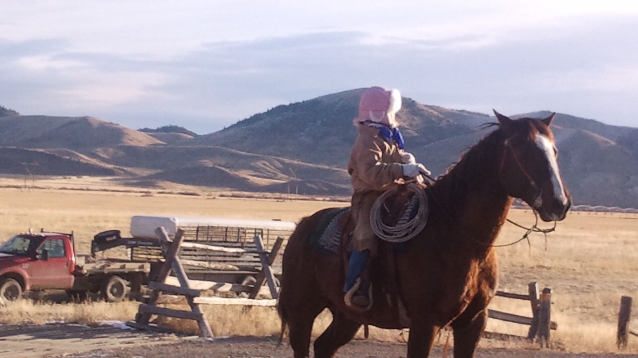 Photo of Others in Dillon