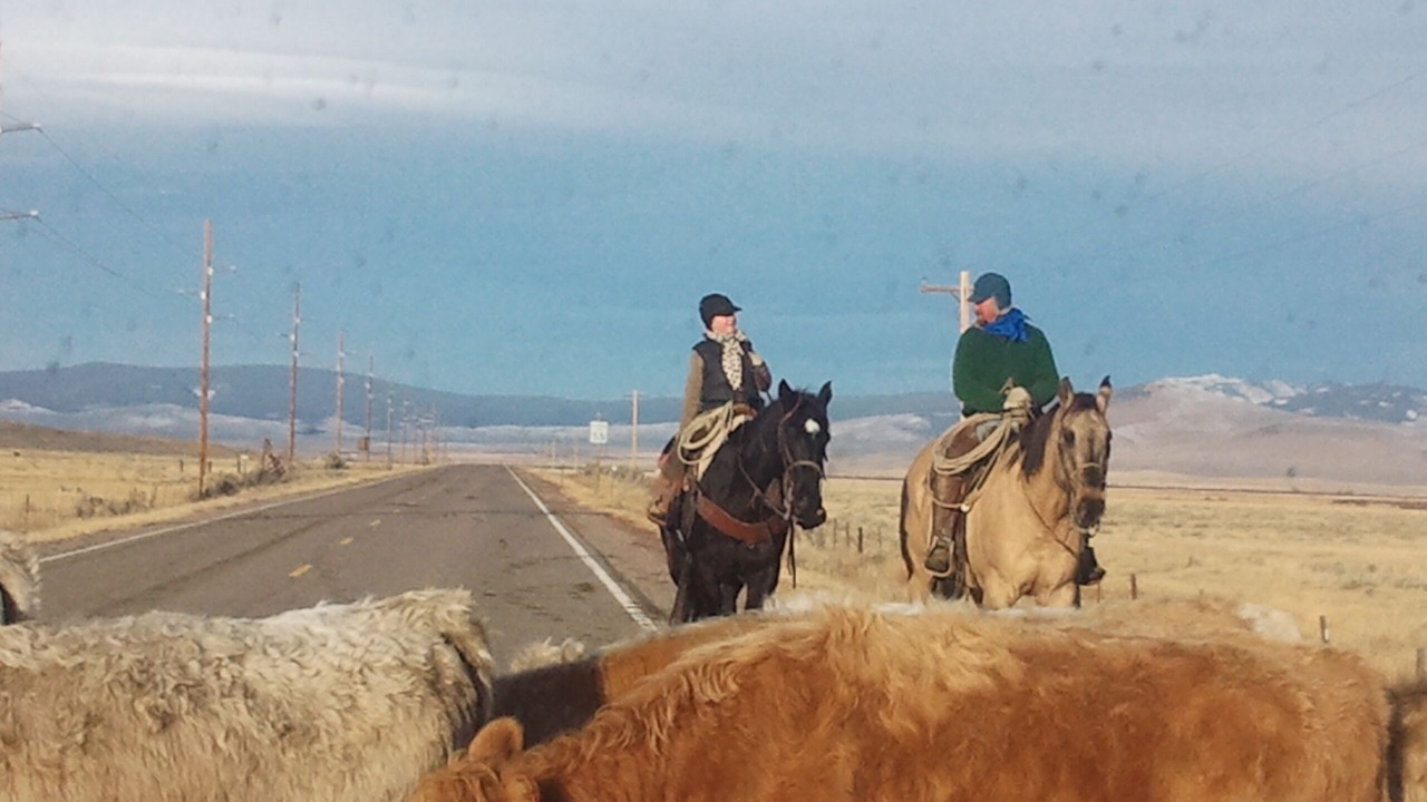 Photo of Others in Dillon