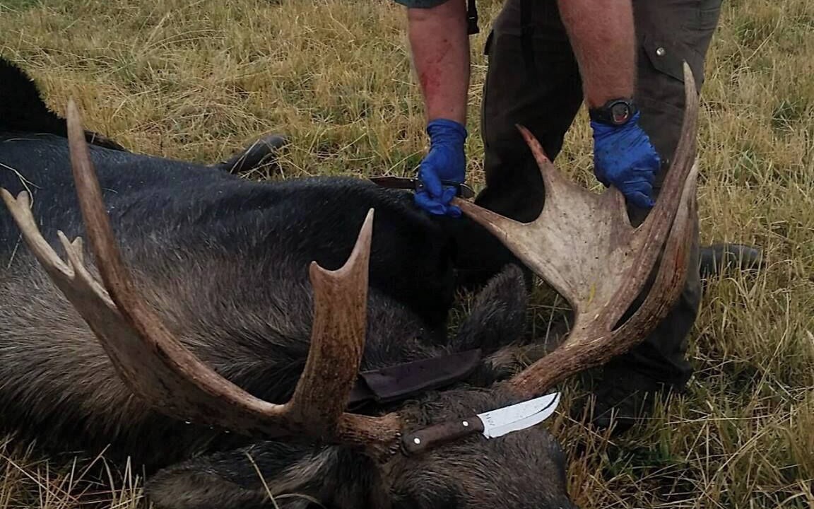 Photo of Others in Dillon