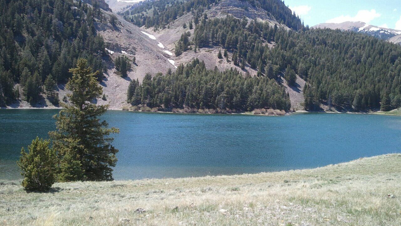 Photo of Others in Dillon