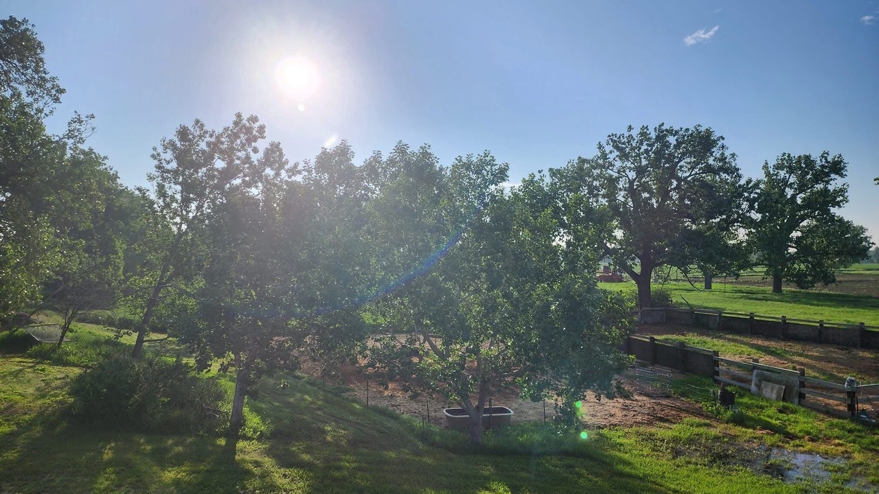 Photo of Others in Wolf Point