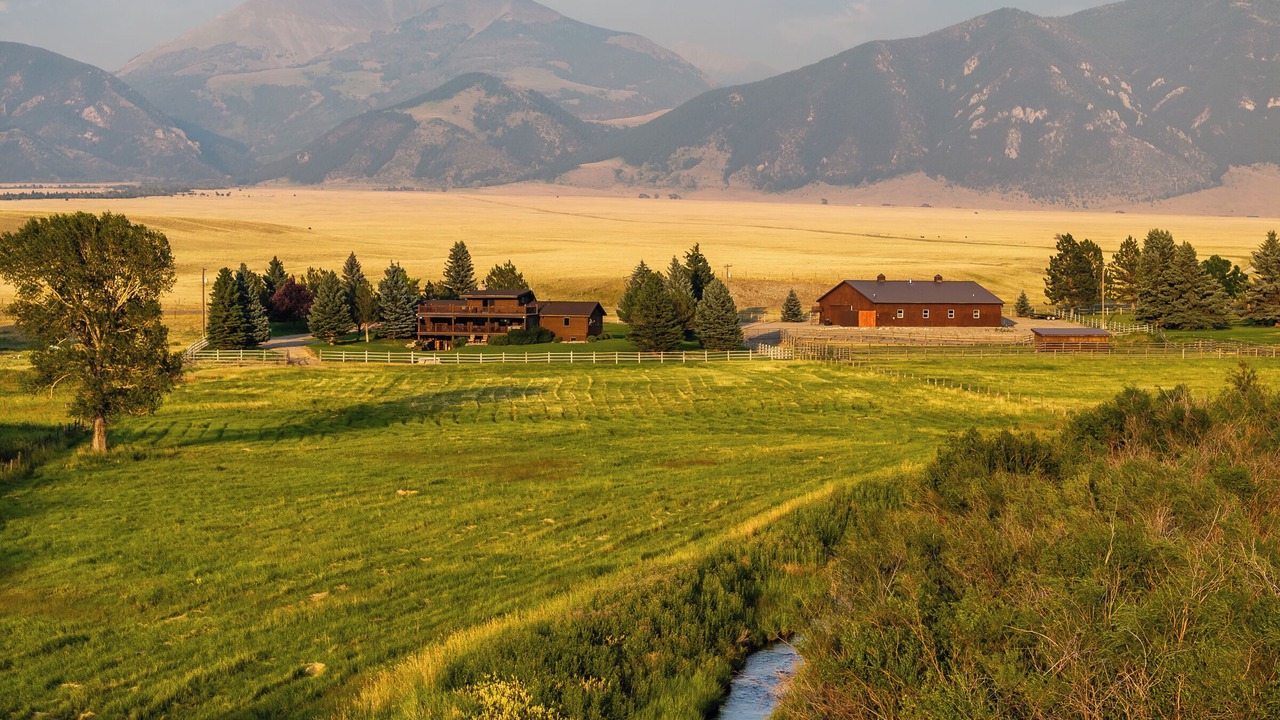 Photo of Others in Ennis