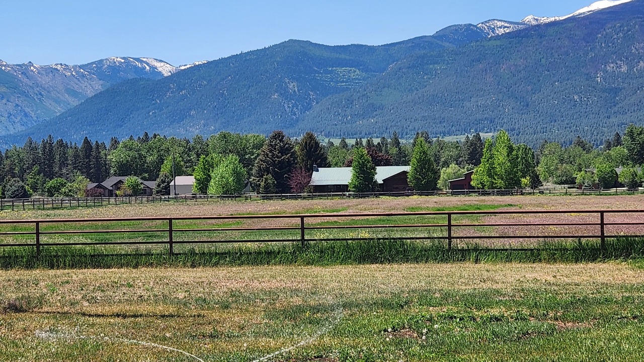 Photo of Others in Stevensville