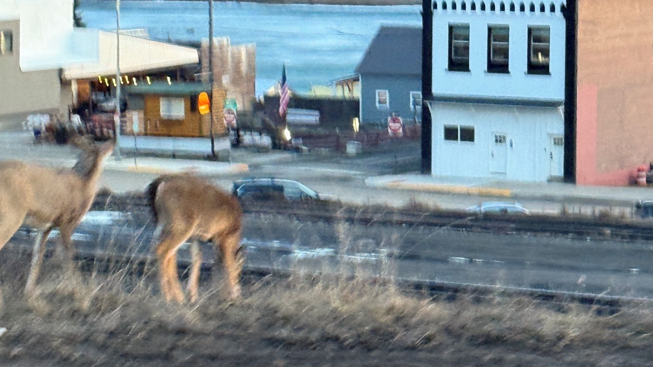 Photo of Others in Thompson Falls