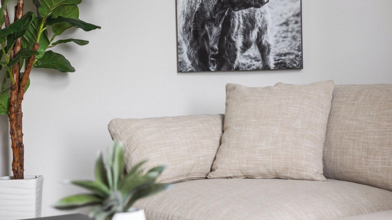 Photo of Livingroom in Billings