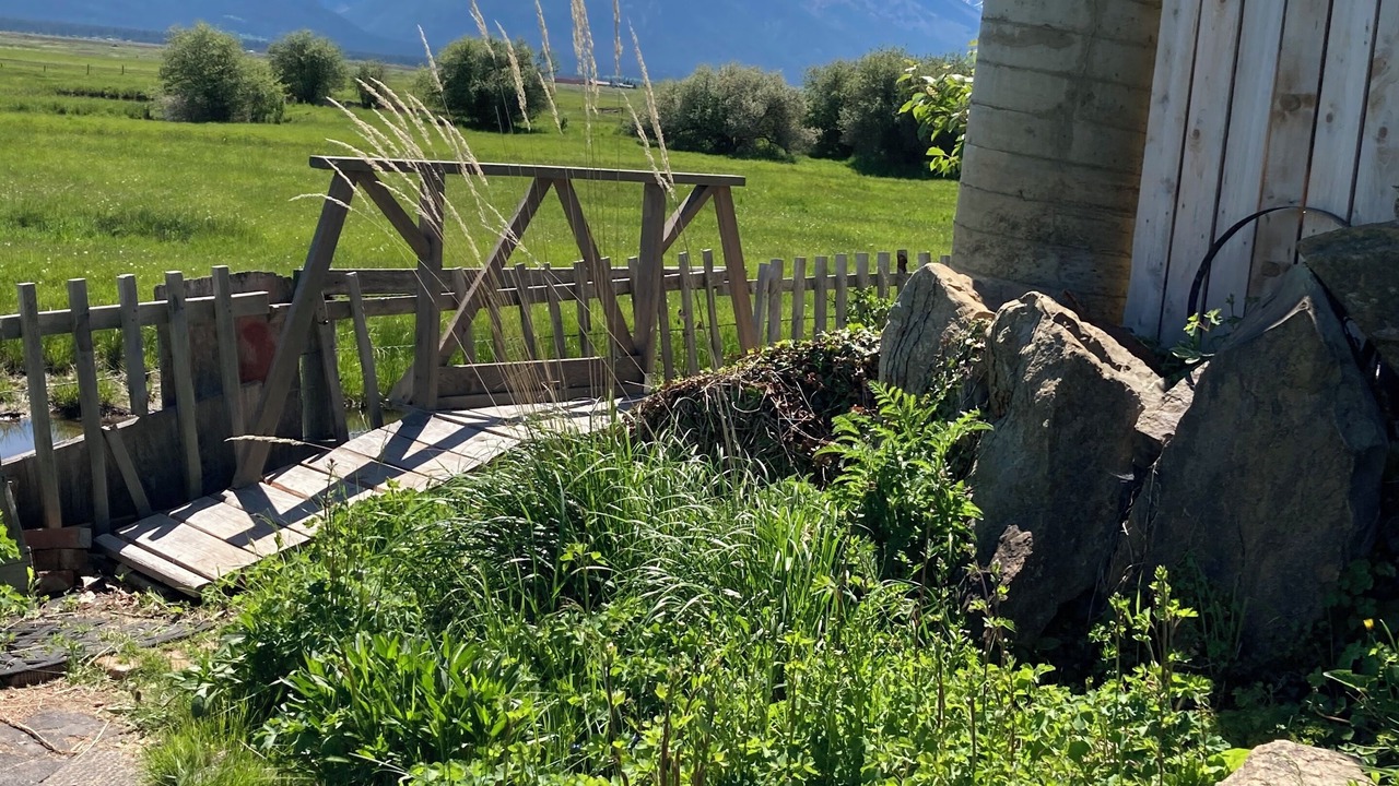 Photo of Outdoor in Ronan