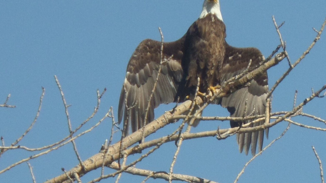 Photo of Others in Garrison