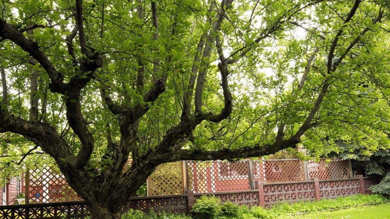 Photo of Outdoor in Franklin to the Fort