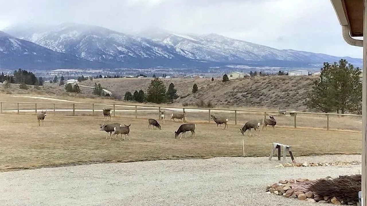 Photo of Others in Stevensville