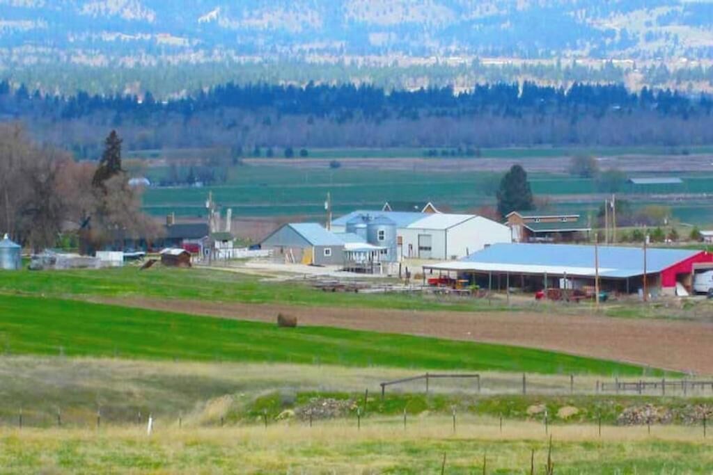 Photo of Others in Corvallis