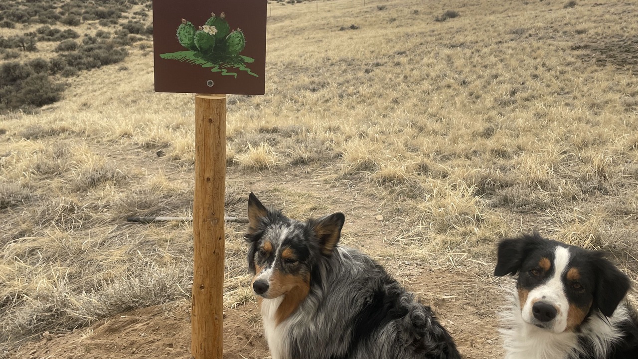 Photo of Others in Dillon