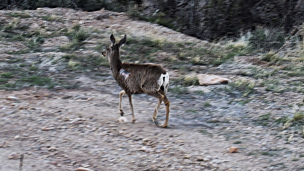 Photo of Others in Duchesne County