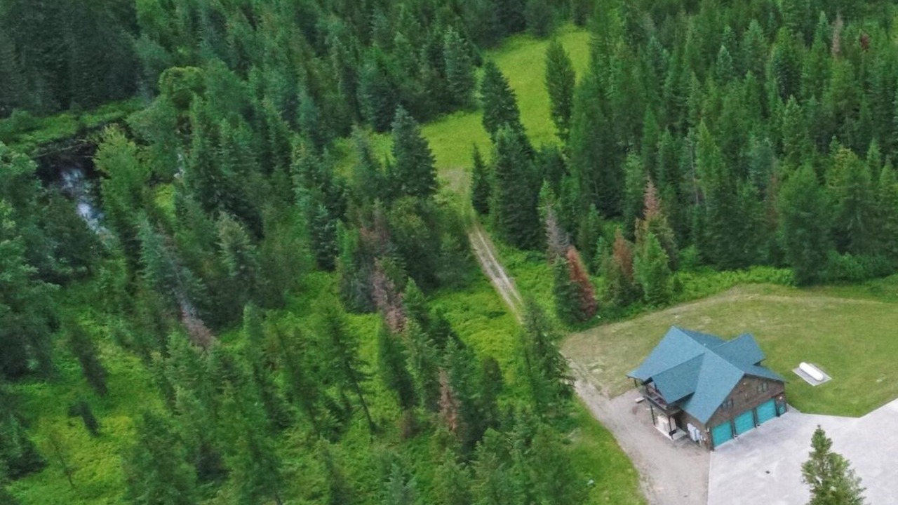 Photo of Others in Trout Creek