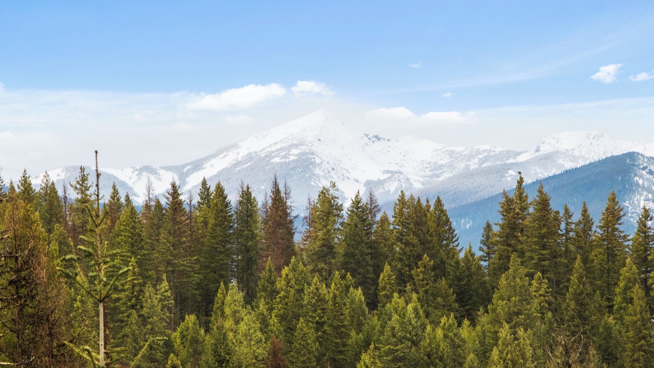 Photo of Others in Trout Creek