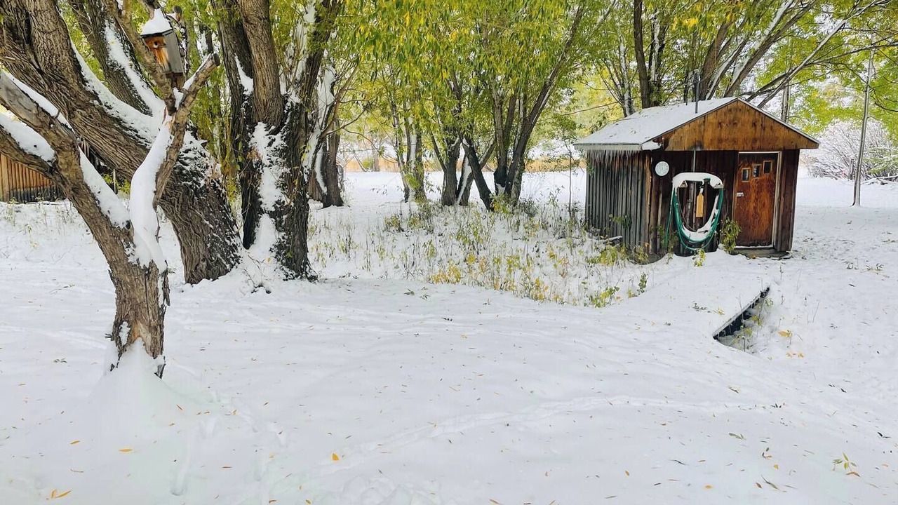 Photo of Outdoor in Livingston