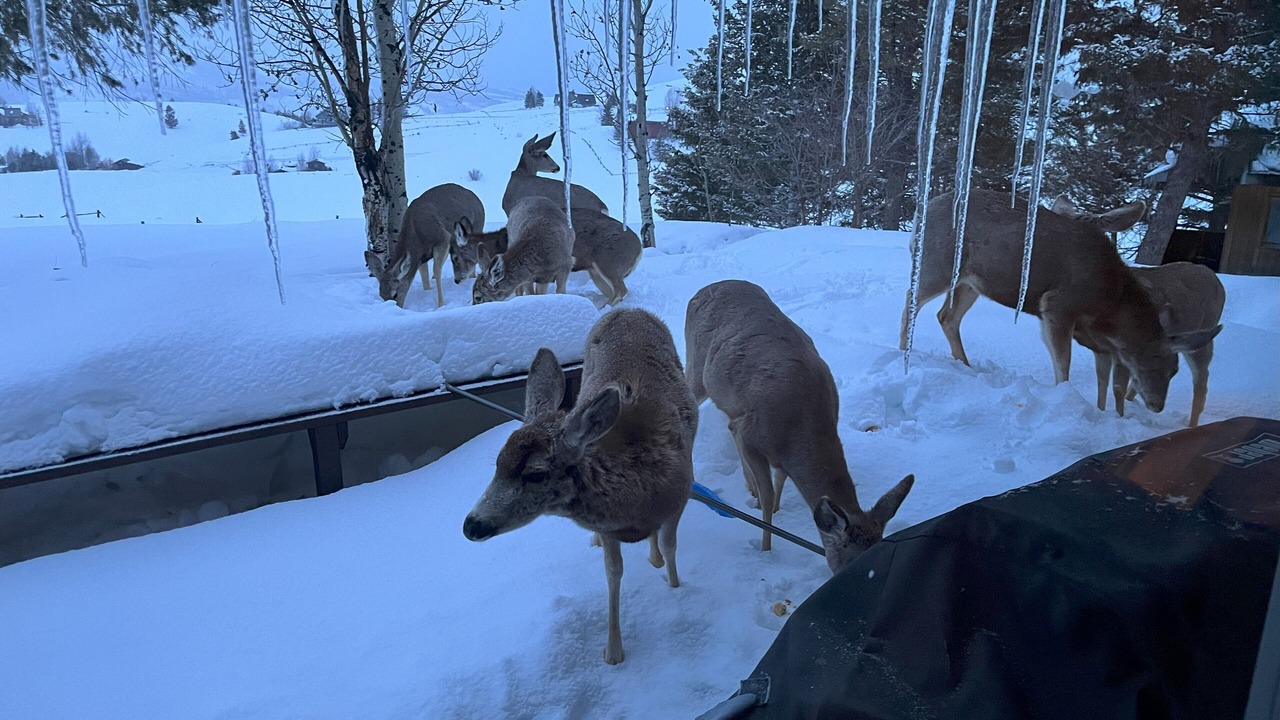 Photo of Others in Game Creek