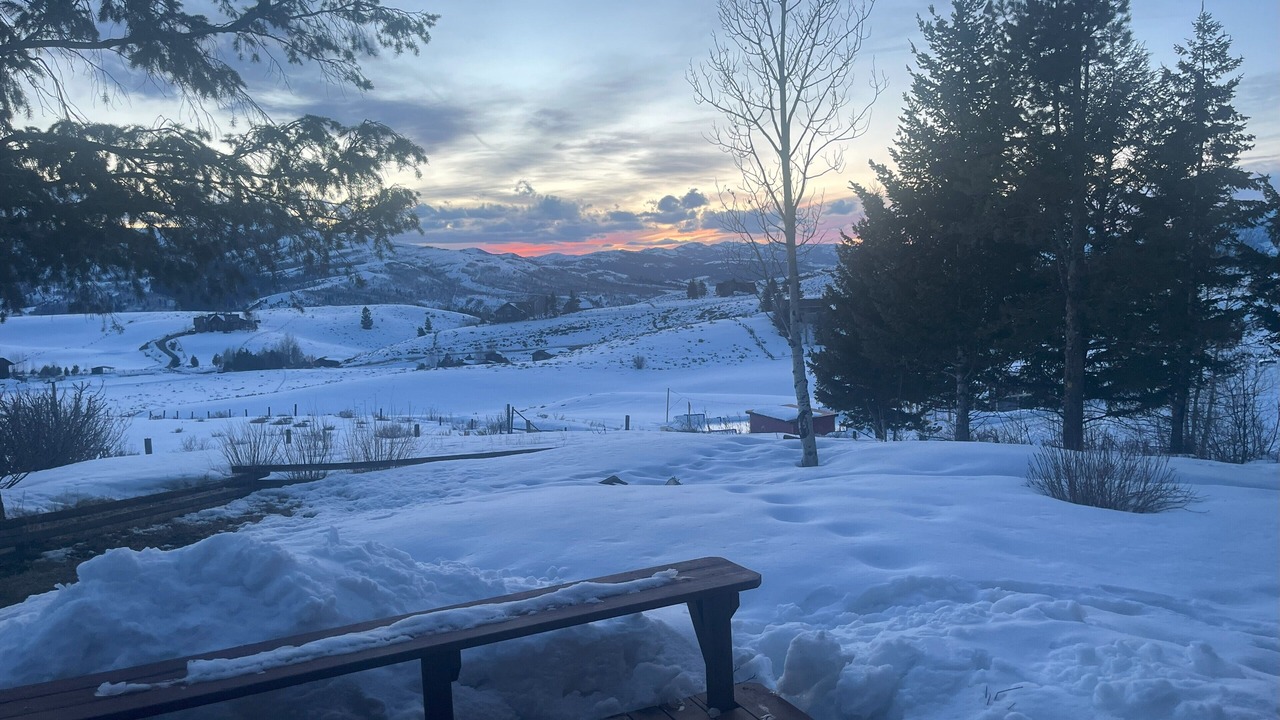 Photo of Outdoor in Game Creek