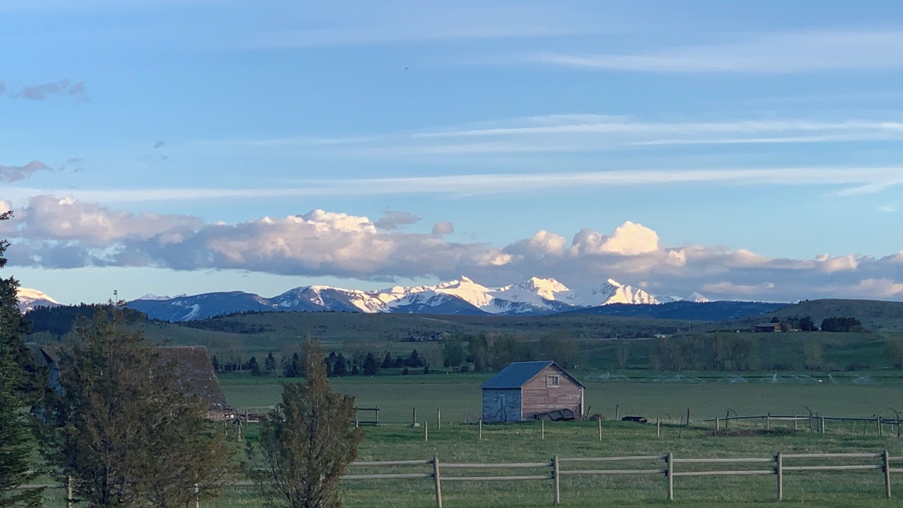 Photo of Others in Bozeman