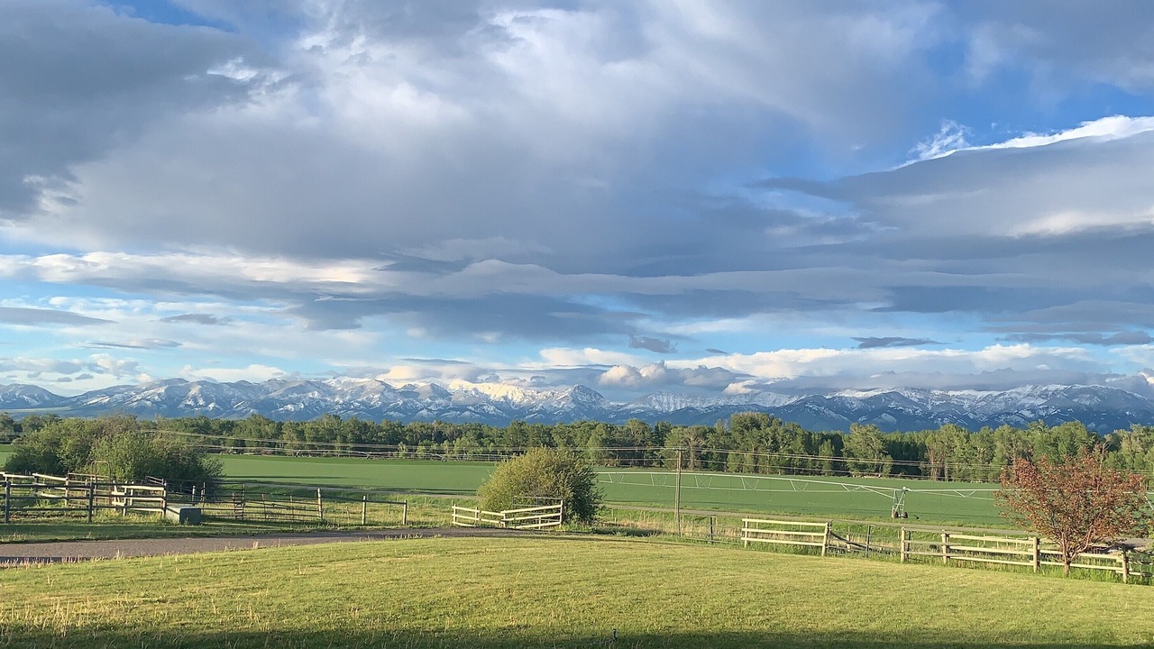 Photo of Others in Bozeman