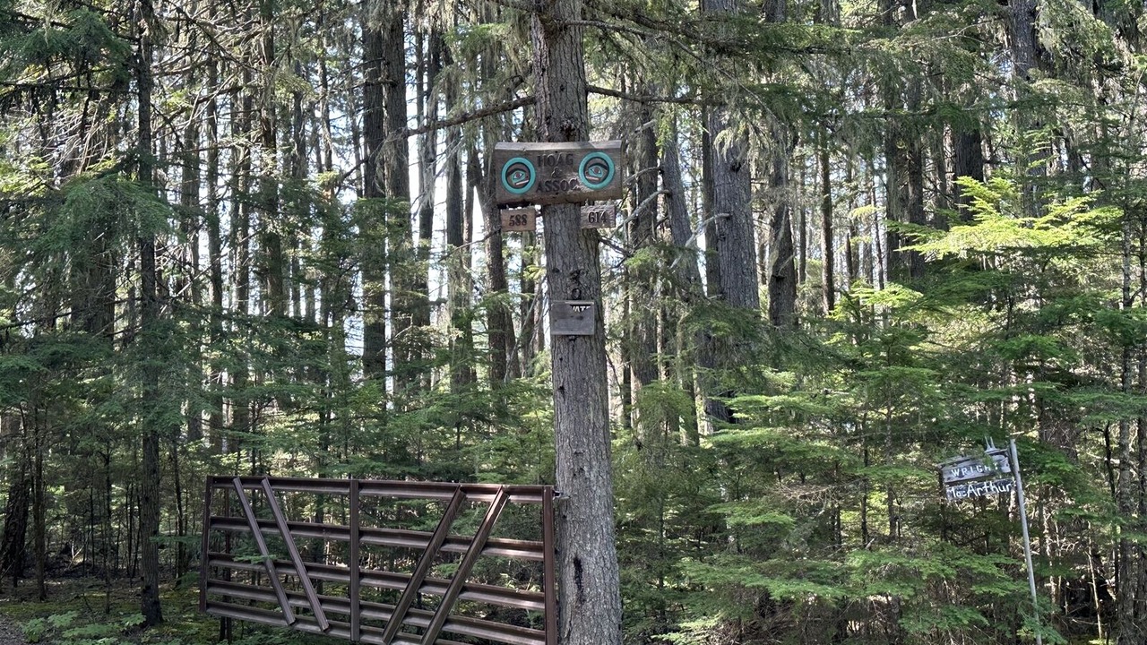 Photo of Others in West Glacier
