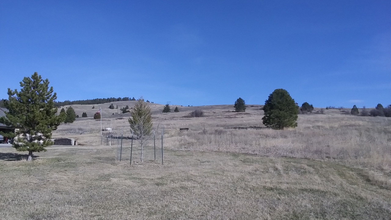 Photo of Others in Missoula