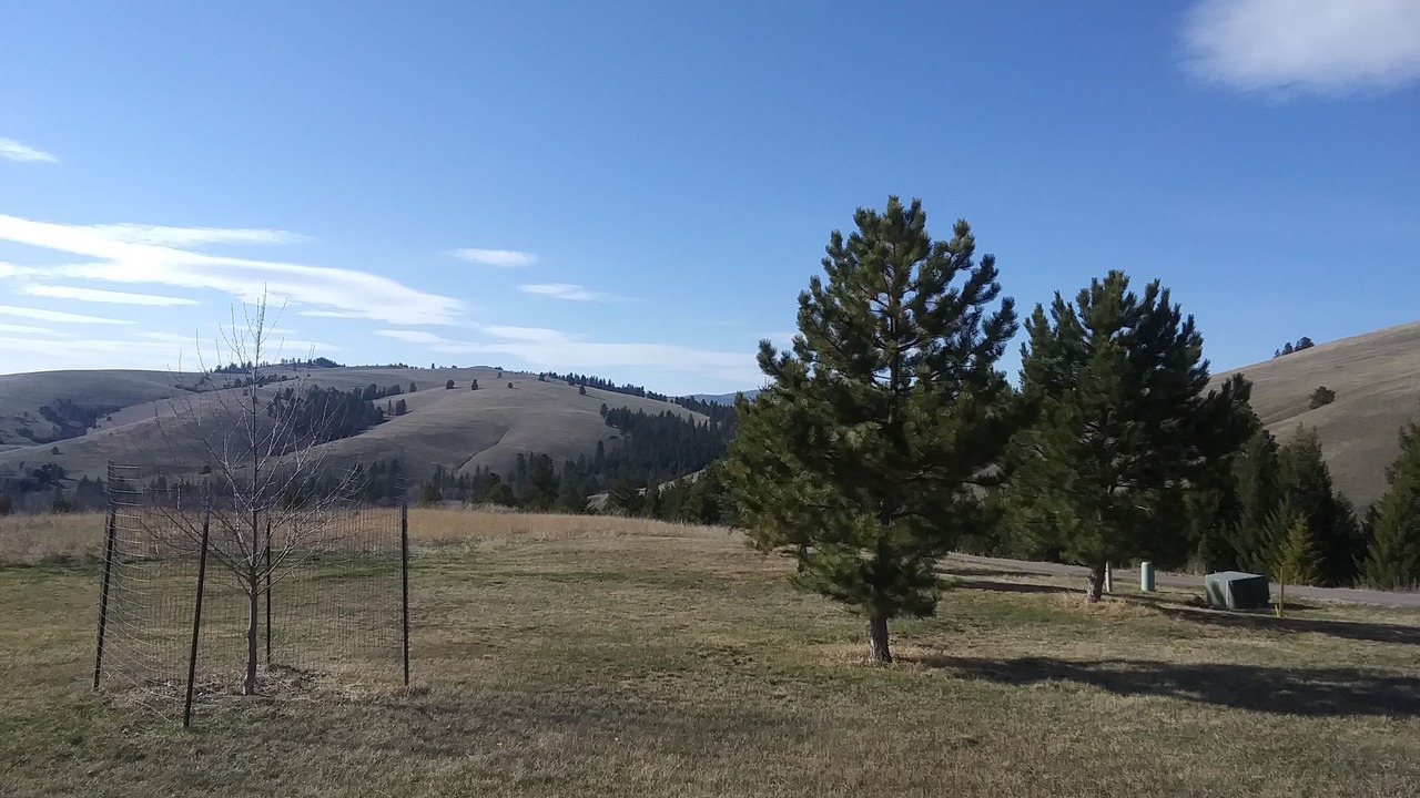 Photo of Others in Missoula