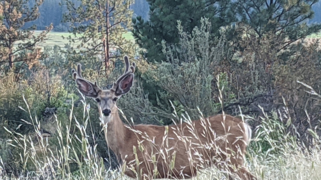 Photo of Others in Plains