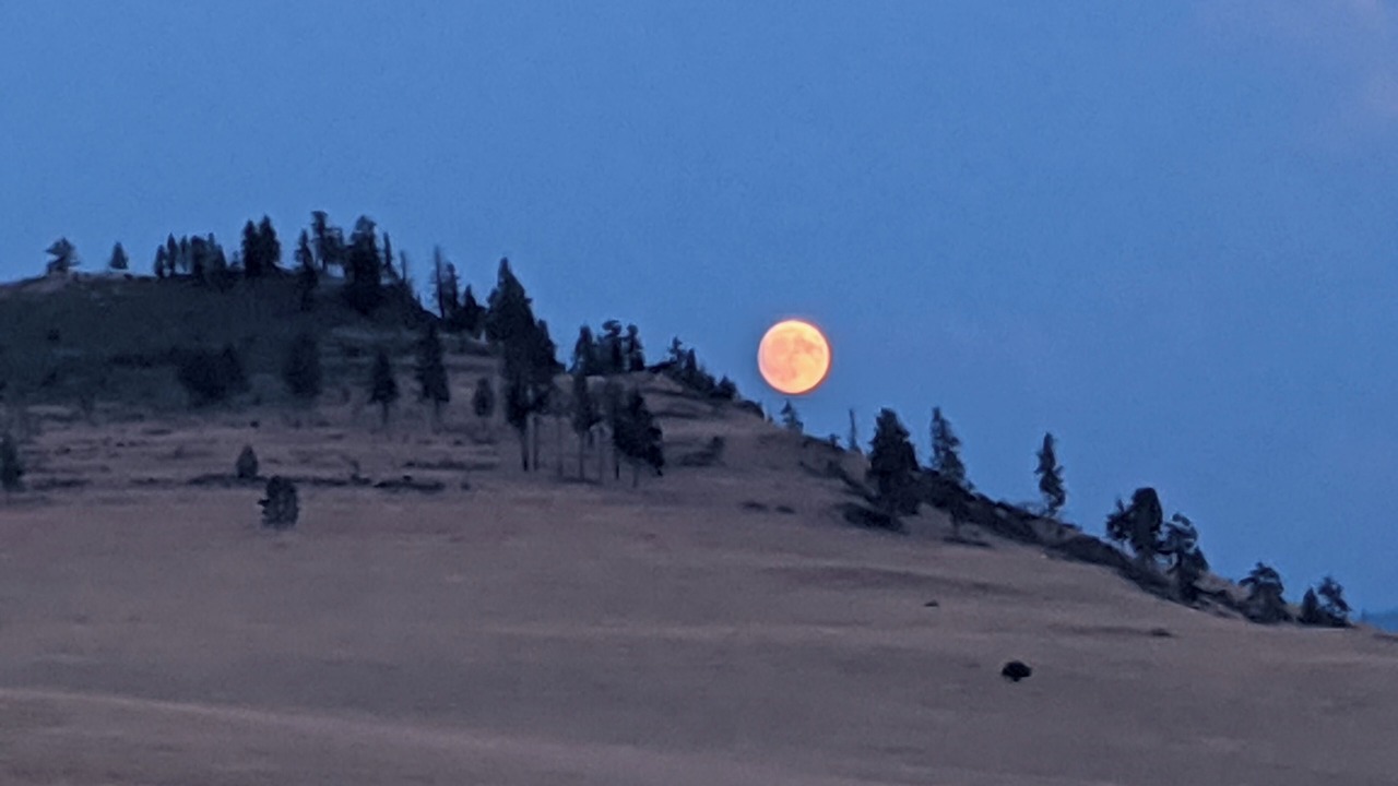 Photo of Others in Plains