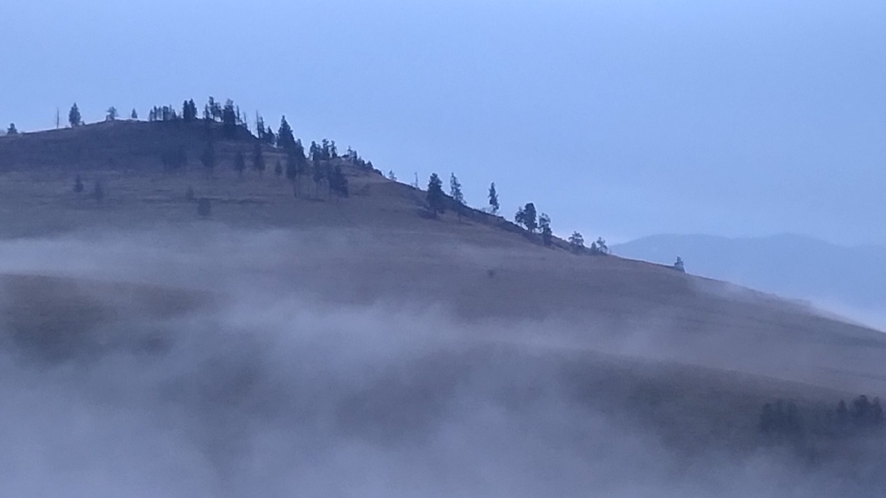 Photo of Others in Plains