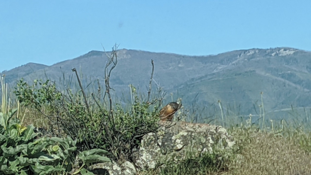 Photo of Outdoor in Plains