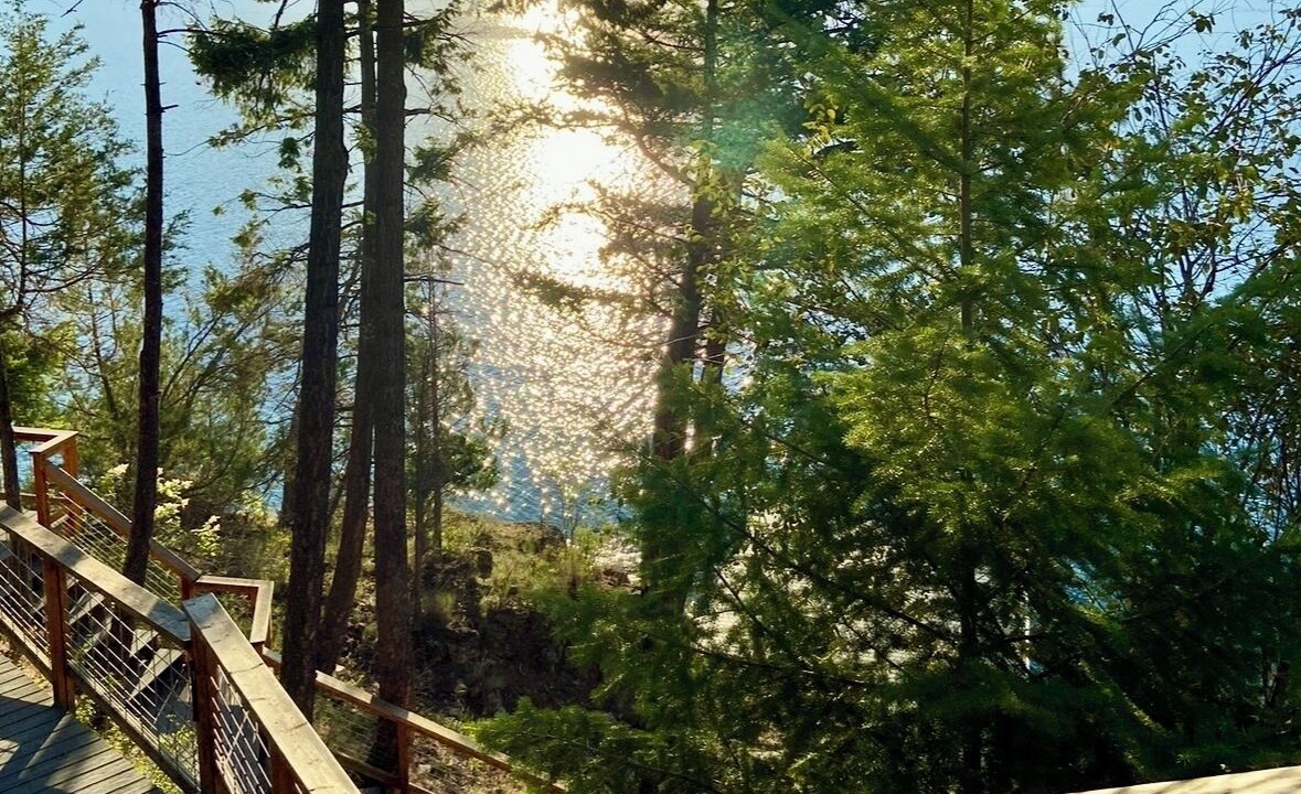 Photo of Others in Finley Point