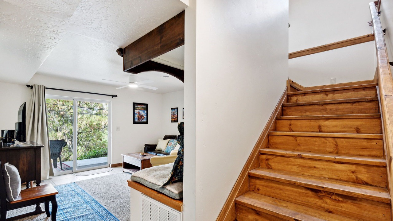 Photo of Others in University District