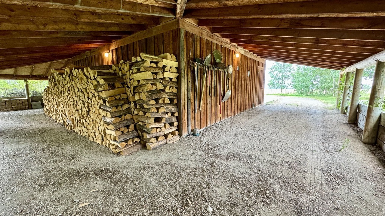 Photo of Outdoor in McAllister