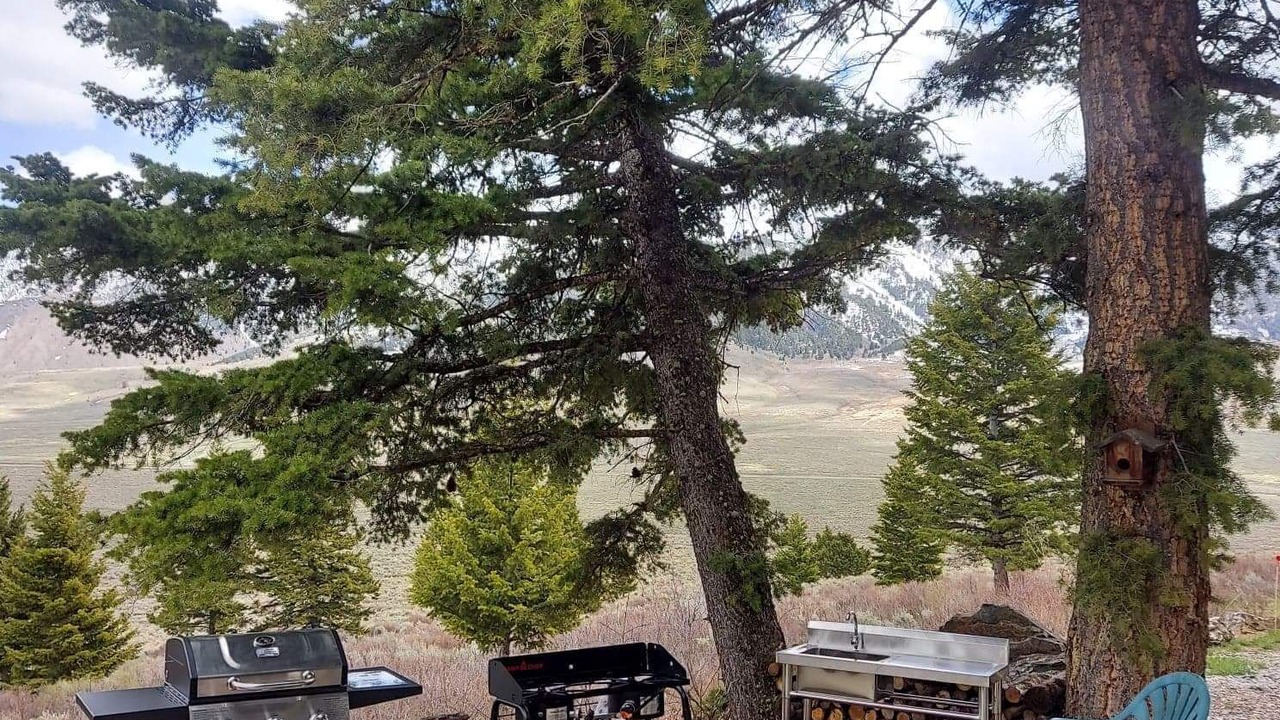 Photo of Outdoor in Cameron