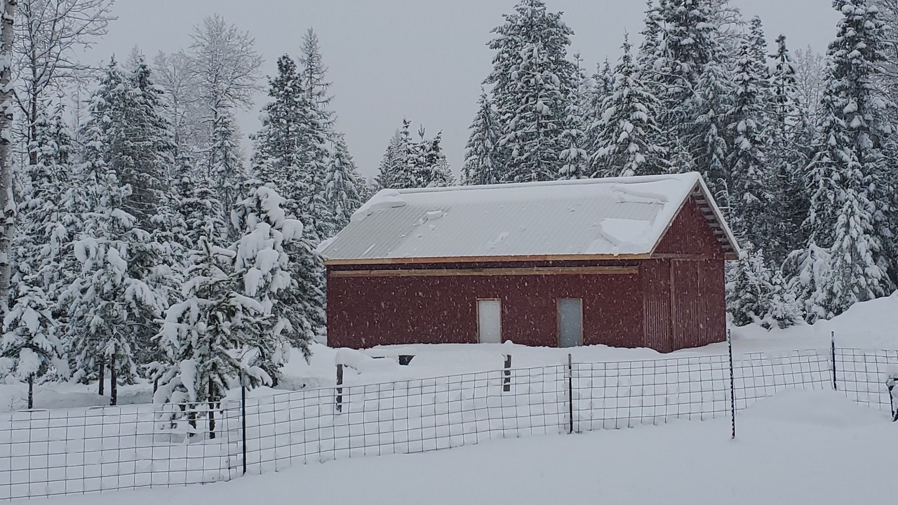 Photo of Outdoor in Heron