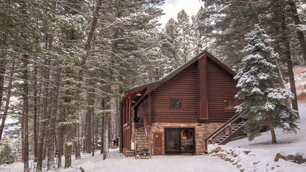 Photo of Outdoor in McAllister