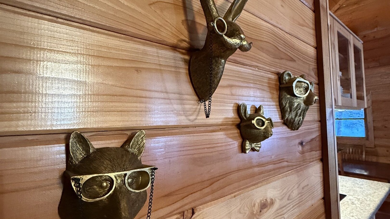 Photo of Others in McAllister