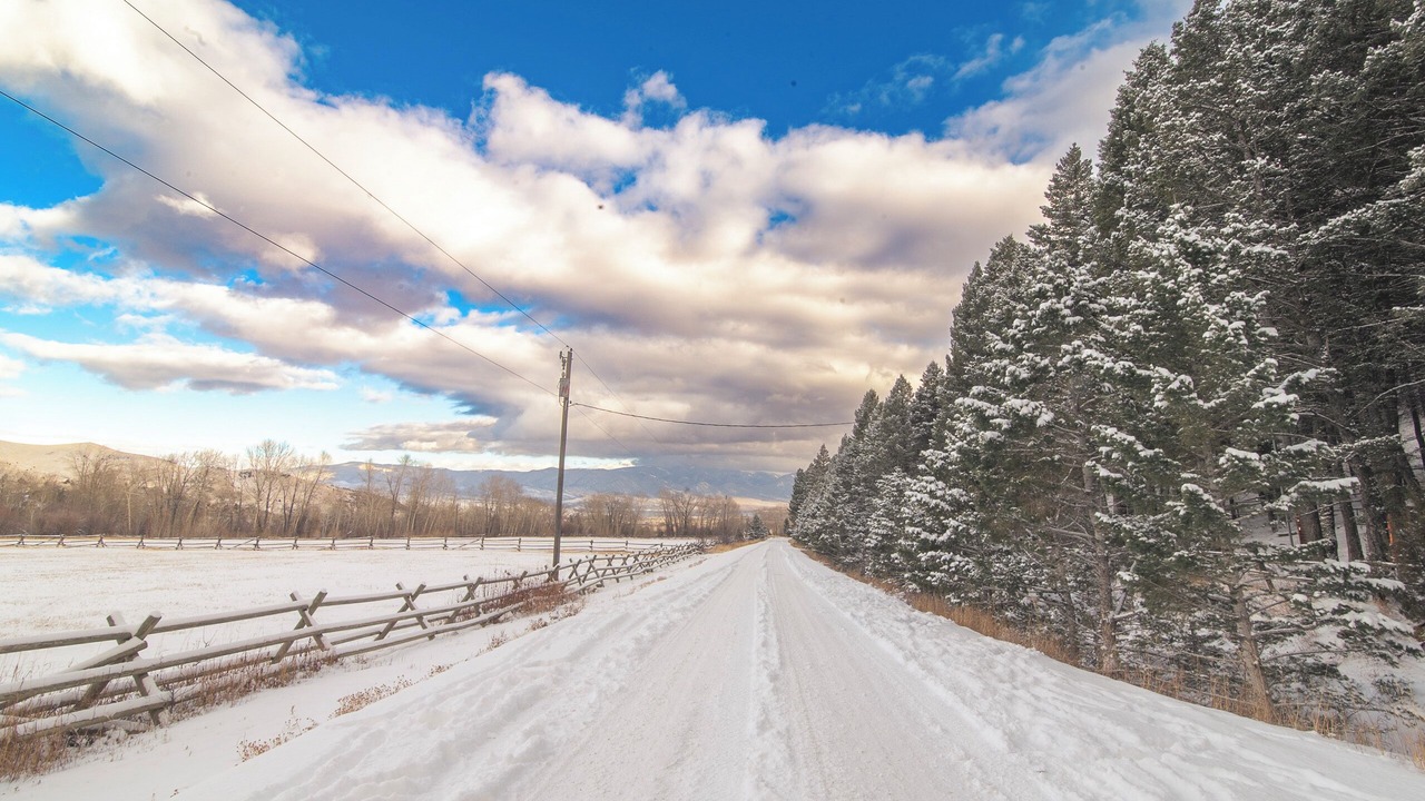 Photo of Others in McAllister