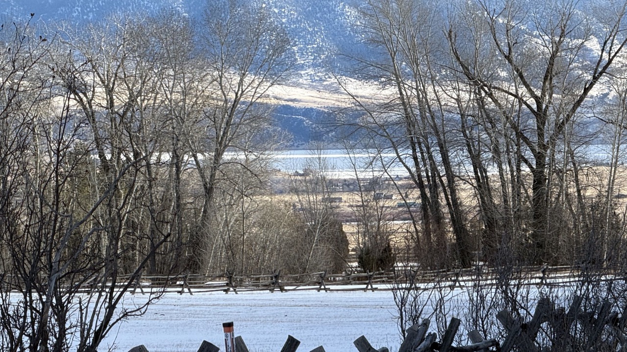 Photo of Others in McAllister